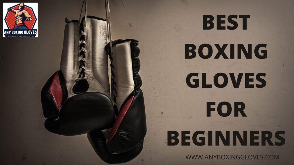 Best Boxing Gloves for Beginners