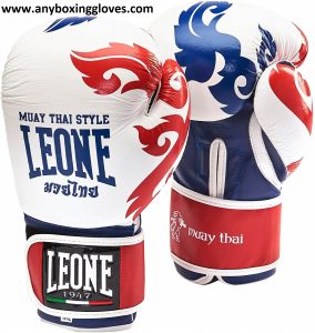 Best Boxing Gloves for Beginners