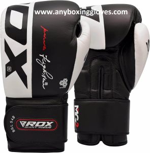 Best Boxing Gloves for Beginners