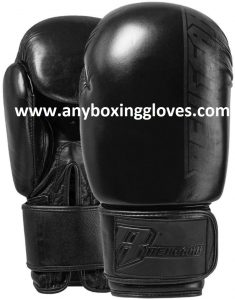 Best Boxing Gloves for Beginners