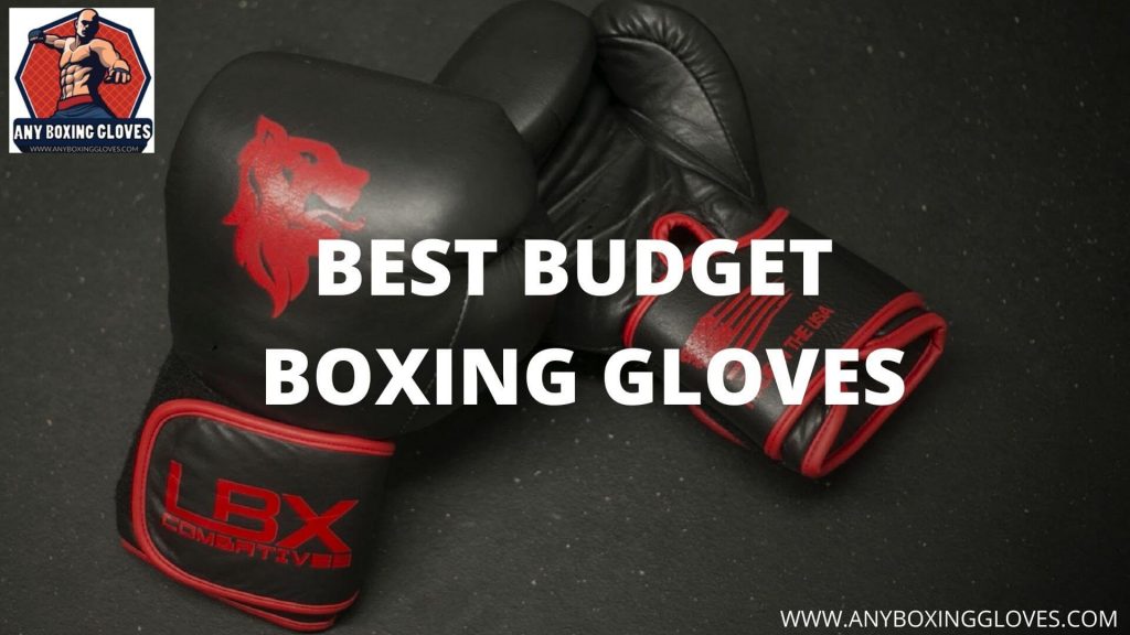 BEST BUDGET BOXING GLOVES