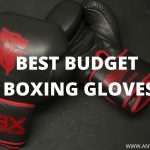 BEST BUDGET BOXING GLOVES 2022 - Apr Update[Ultimate Guide]