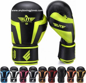 Elite Sports Kickboxing