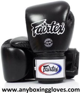 Fairtex Muay Thai BGV1-BR