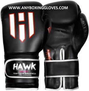 Best budget boxing gloves