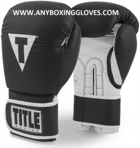 best budget boxing gloves