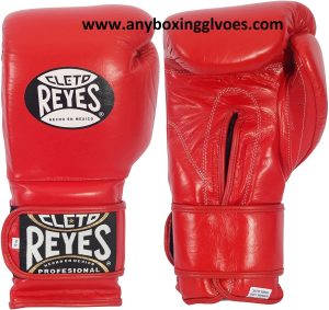 Best boxing gloves brands