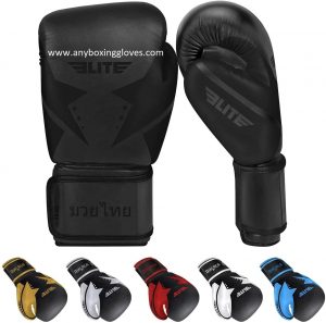 Elite Sports 2021 Muay Thai Gloves (1)