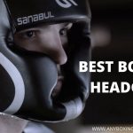 Best Boxing Headgear 2022 | Oct Update [Best Reviews]