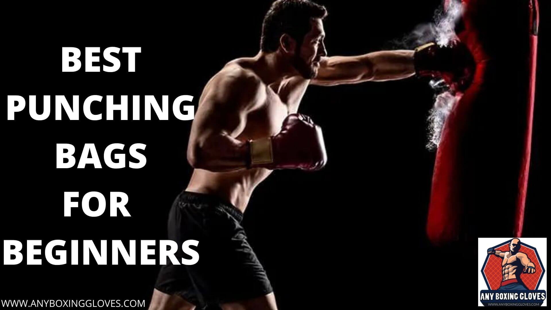 Best Punching Bag for Beginners 2023 Apr Update [Top Reviews]