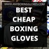 BEST cheap boxing gloves