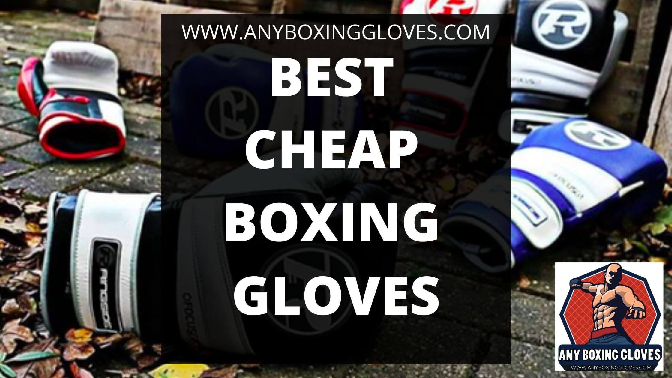 BEST cheap boxing gloves