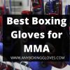best boxing gloves for MMA