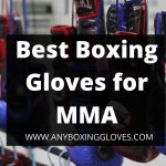 Best Boxing Gloves for MMA 2022 | [Oct Update]