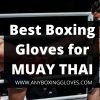 best boxing gloves for muay thai (1)