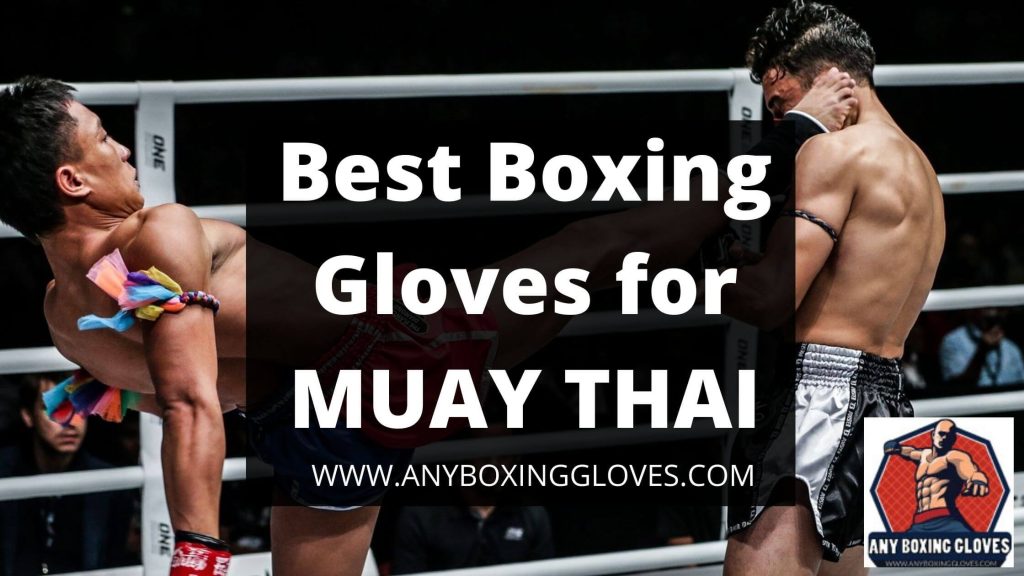 best boxing gloves for muay thai (1)