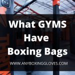 what gyms have boxing bags